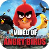 Video of Angry Birds 1.0