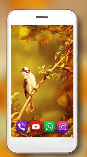 Autumn Birds Live Wallpaper screenshot 7