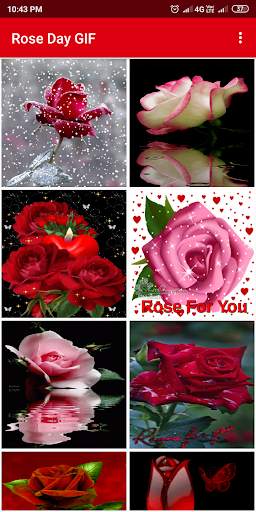 Rose Day GIF screenshot 1