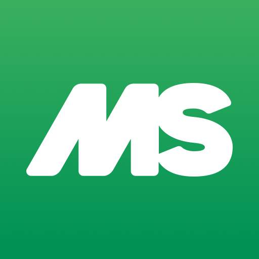 MS Schippers 1.1.4