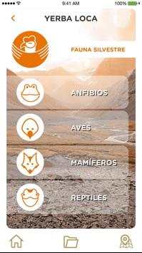 Flora y fauna Lo Barnechea скриншот 3