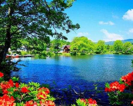 Puzzles Nature Beautiful Jigsaw Games screenshot 5