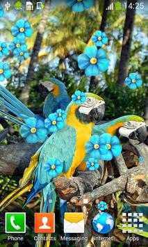 الببغاوات يعيش خلفيات 2 تصوير الشاشة