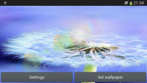 dandelion fly to the sun screenshot 4