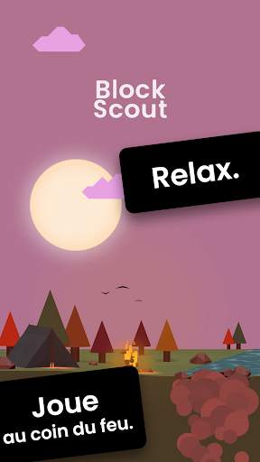 Block Scout - Empile et Relax screenshot 7