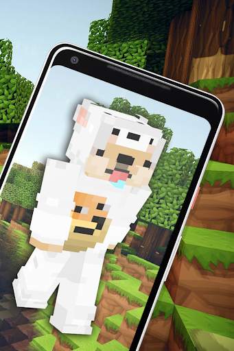 Skin Doge For Minecraft screenshot 2