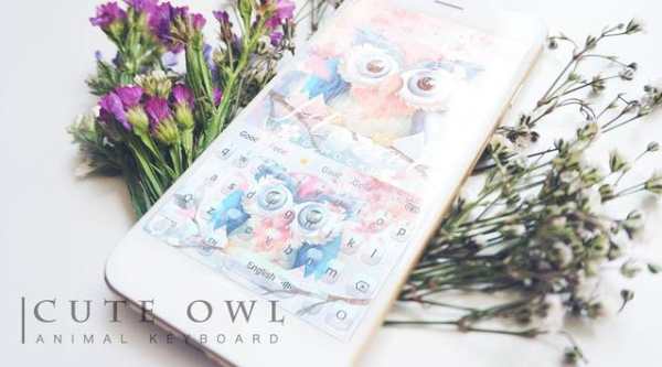 Cute owl animal keyboard screenshot 3