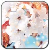 Snow Flower Live Wallpaper 1.0.0