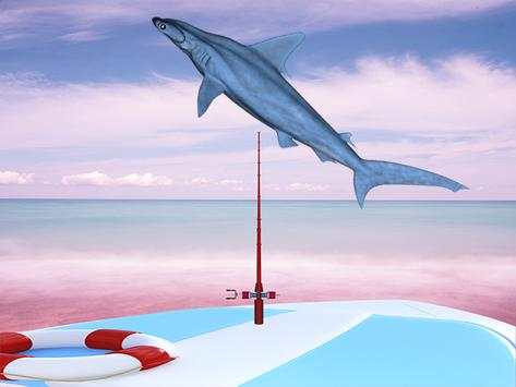 Fishing Shark Evolution screenshot 2