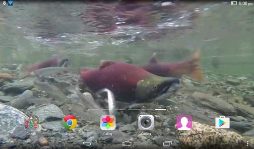 Fish Live Wallpaper screenshot 3