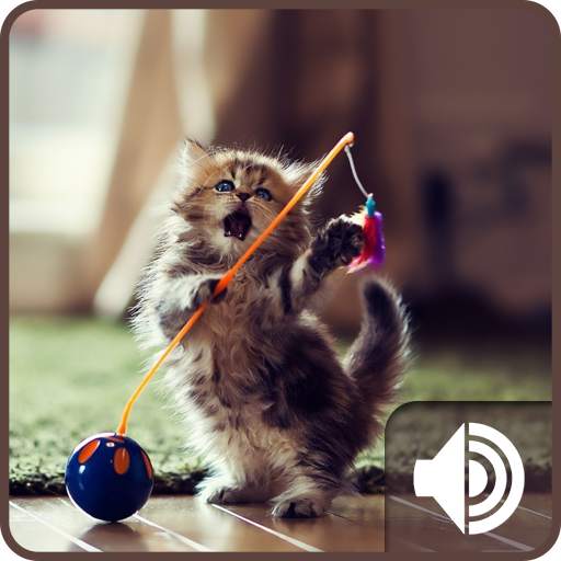 Kitten Sounds 1.1