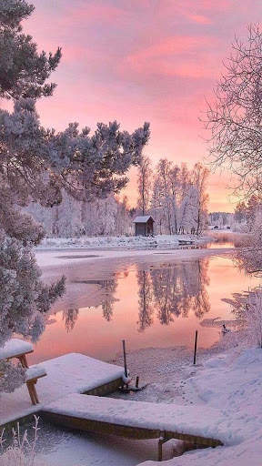 Winter Wallpapers screenshot 2