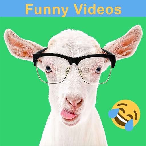 Funny Animal Videos 1.0.1