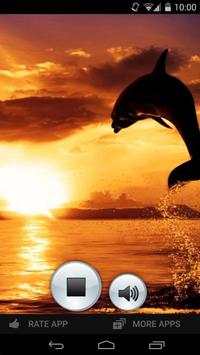 Chill out Relaxing music screenshot 6