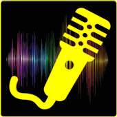 Best voice change