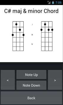 Banjo Tuner N Banjo Chords 3 تصوير الشاشة