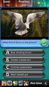 Bird Species Quiz HD screenshot 1