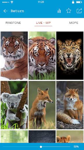 Ferocious beast Animal  Wallpaper скриншот 1