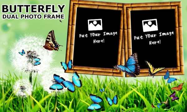 Butterfly Dual Photo Frames screenshot 5