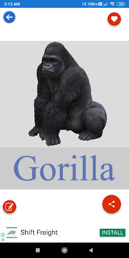 Animals Learning: Animals, Birds, Insects Images screenshot 2