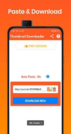 Thumbnail Downloader screenshot 5