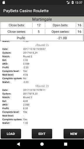PayBets Casino Roulette screenshot 5