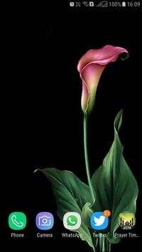 HD Tulip New Wallpaper screenshot 10