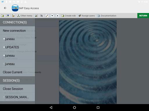 Liquid UI Client for SAP screenshot 11