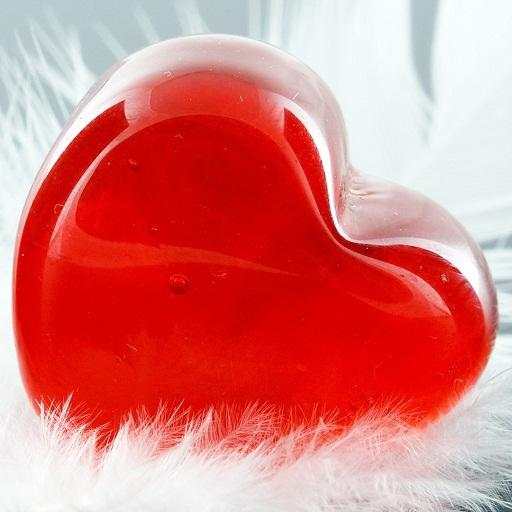 Love fortune teller True 3.1.43.0