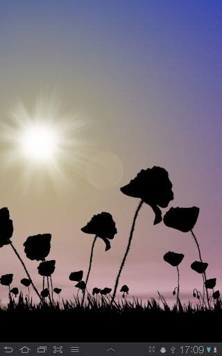 Poppy Field Free screenshot 14