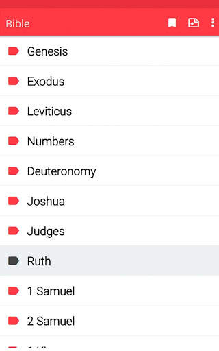 NRSV Bible app screenshot 11