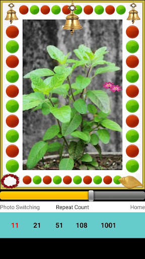 Tulsi Mata Aarti screenshot 5