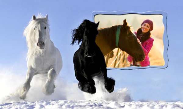 Horse Photo Frames screenshot 8