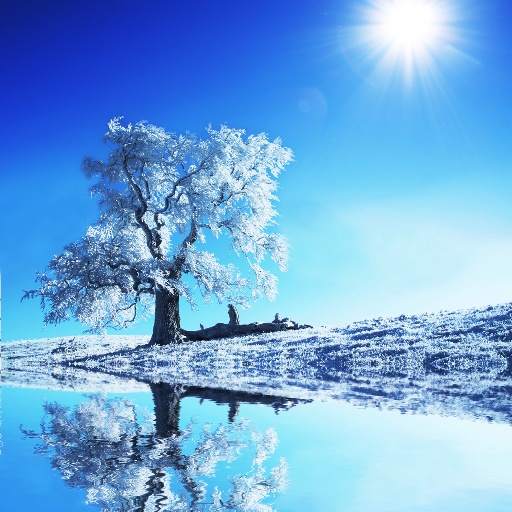 Winter Wallpaper HD 3.2