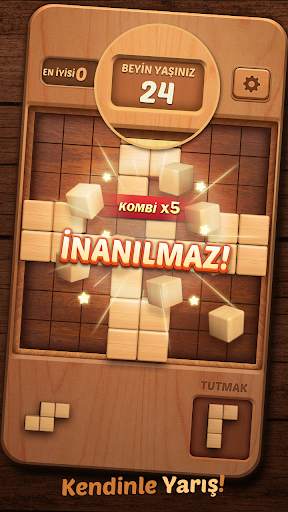 Wood Block Puzzle 3D screenshot 3