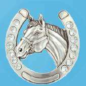 Shinde 24 Indian Horse Racing Tips 1.0.10