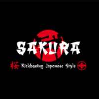 Kickboxing Sakura icon