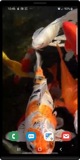 Koi Live Wallpaper screenshot 3