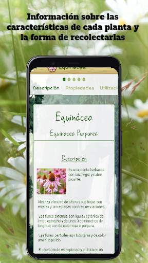 Plantas Medicinales y Remedios screenshot 5