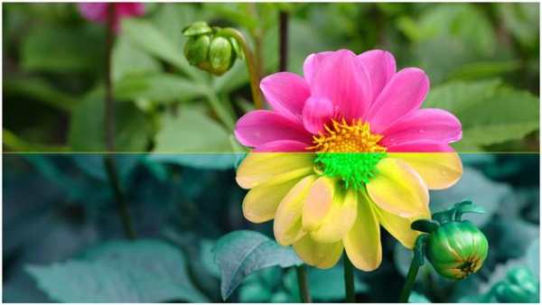 Photo Editor PRO screenshot 5