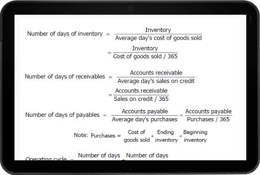 Basic Accounting скриншот 12