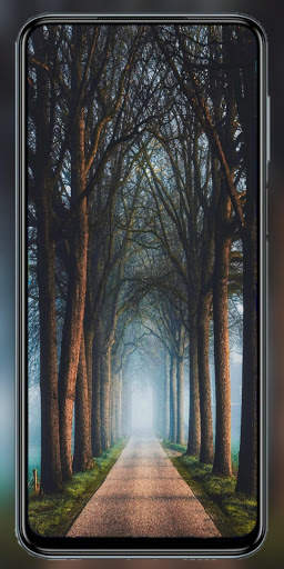 Wallpaper Zone - HD Wallpapers and QHD Backgrounds screenshot 7