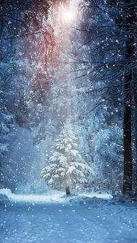 Snow Wallpapers screenshot 2
