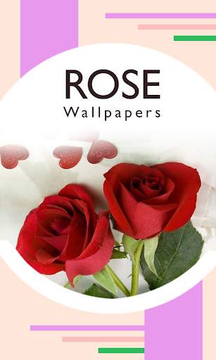 Rose Wallpapers screenshot 1