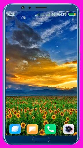 Sunflower HD Wallpaper screenshot 8