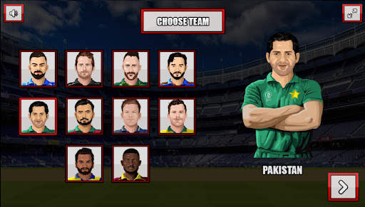 ICC-T20: Cricket World Cup screenshot 3