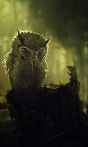 Funny Owl Wallpaper screenshot 14