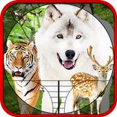 Hunting Animals & Birds 1.3