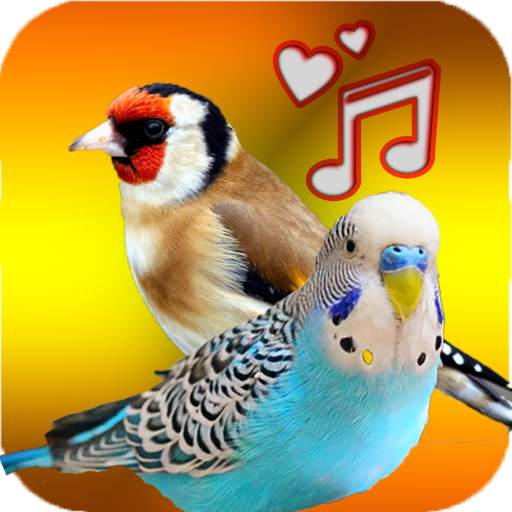 Birds Sounds ( Offline ) 2