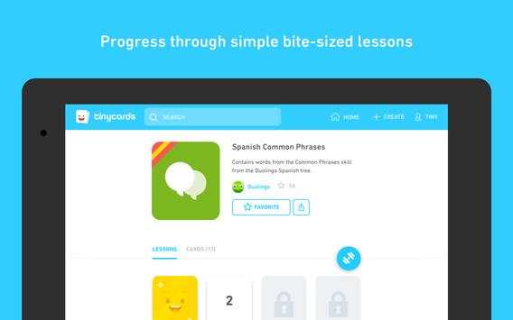 Tinycards screenshot 10